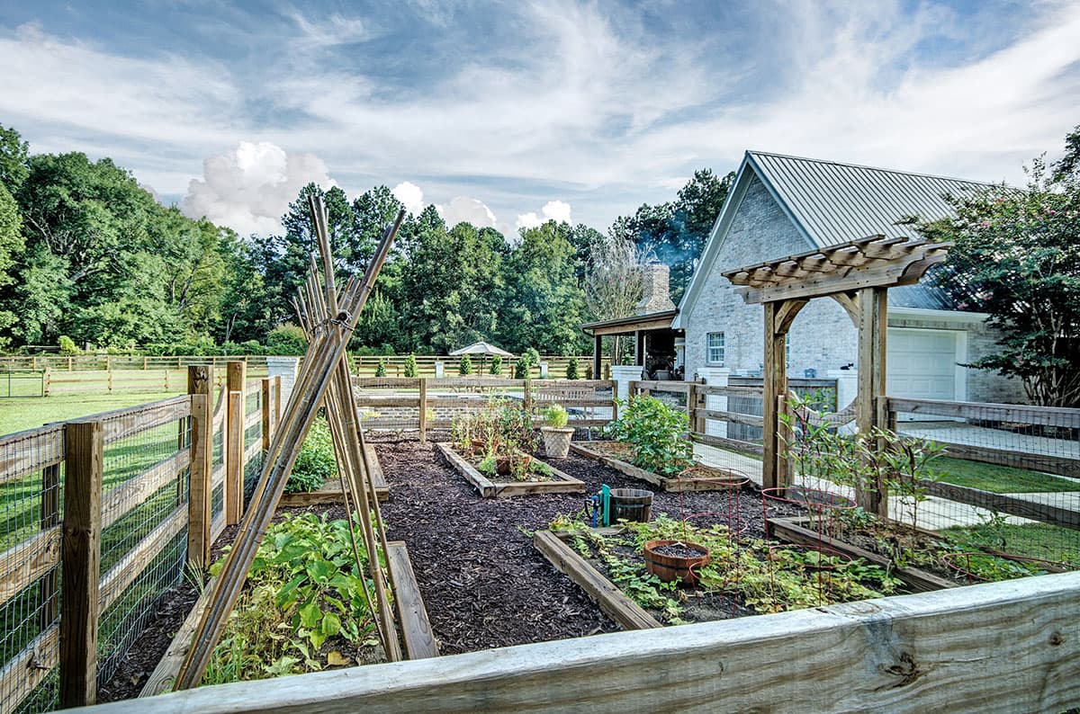 Professional landscape design